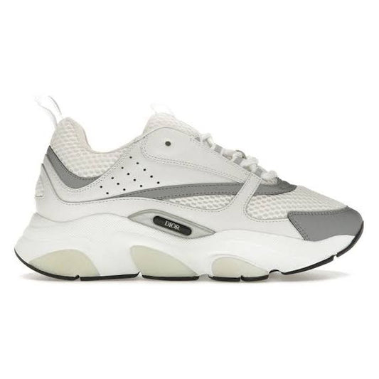 Dior B22 "White Gray"